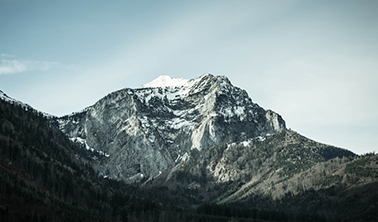 短信轰炸免费在线网站